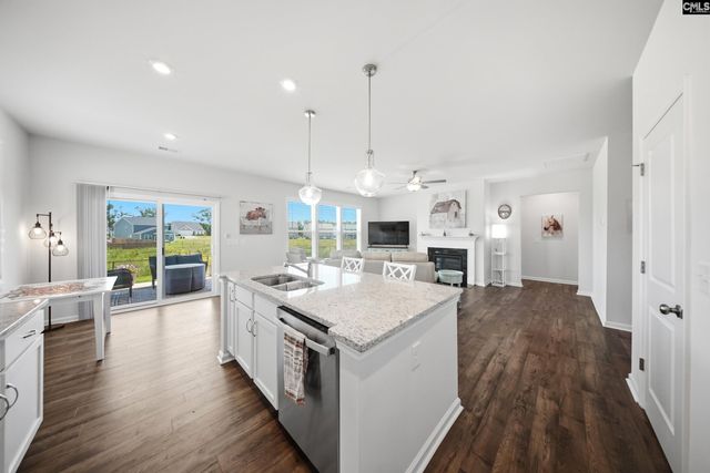 445 Dolomite Court, Chapin, SC 29036