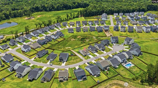 445 Dolomite Court, Chapin, SC 29036