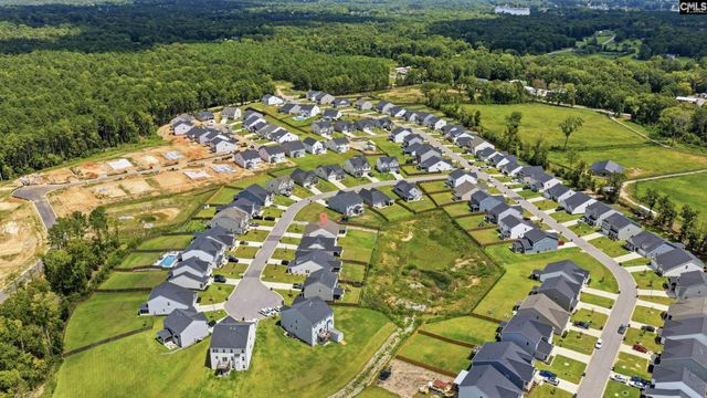 445 Dolomite Court, Chapin, SC 29036