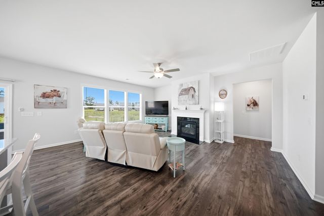 445 Dolomite Court, Chapin, SC 29036