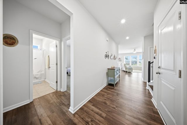 445 Dolomite Court, Chapin, SC 29036