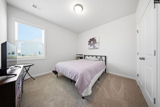 445 Dolomite Court, Chapin, SC 29036