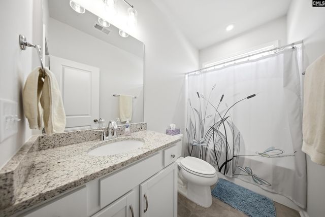 445 Dolomite Court, Chapin, SC 29036