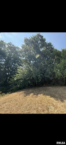 323 BUENA VISTA Street, Bartonville, IL 61607