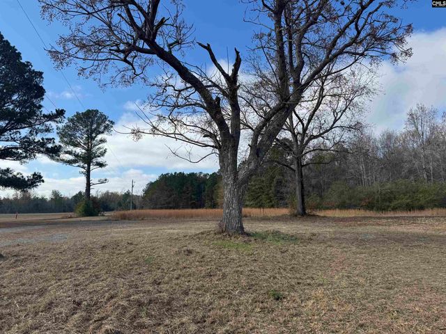 130 Willie Anderson Road, Hopkins, SC 29061