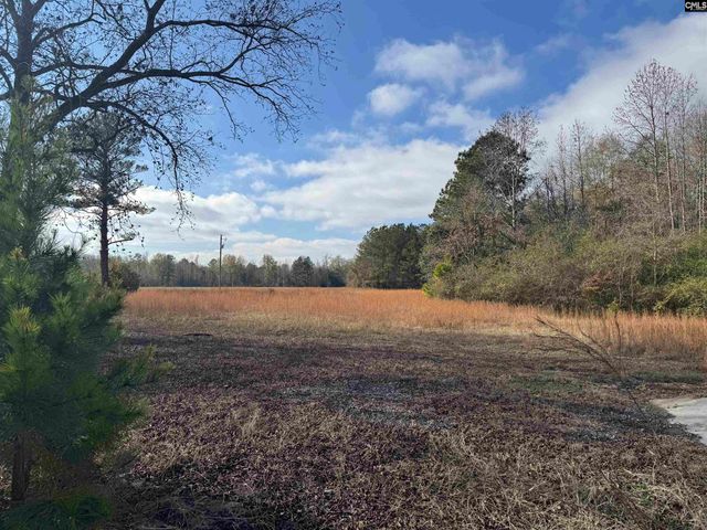 130 Willie Anderson Road, Hopkins, SC 29061