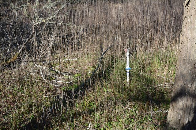 731 Cv Lakeside Drive, Coldspring, TX 77331