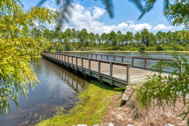 233 Green Heron Street, Watersound, FL 32461