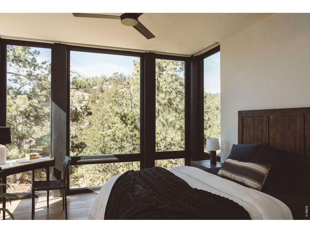 16132 Steller Ridge Rd, Loveland, CO 80538