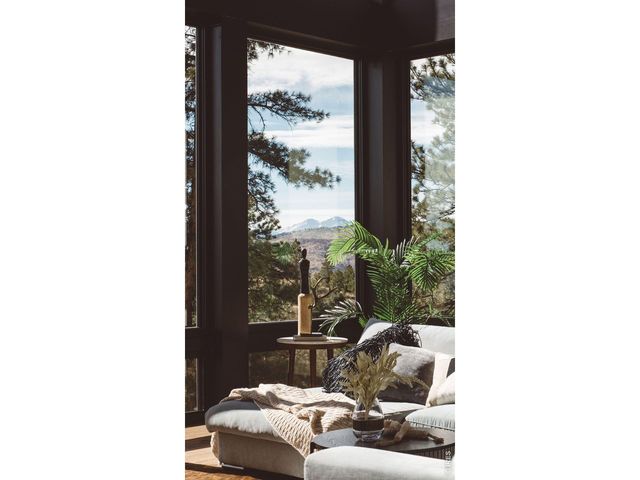 16132 Steller Ridge Rd, Loveland, CO 80538