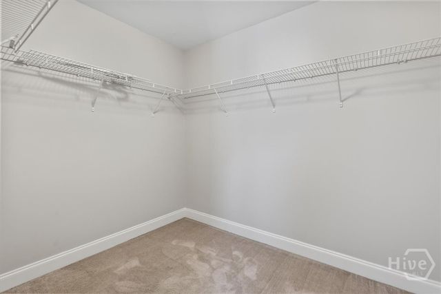 240 Canyon Oak Loop, Richmond Hill, GA 31324