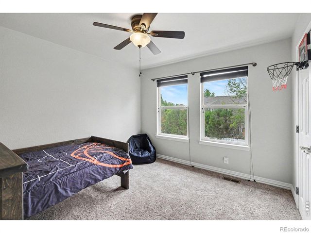 101 Whitney Court, Windsor, CO 80550