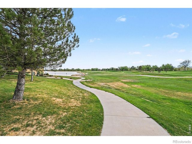 101 Whitney Court, Windsor, CO 80550