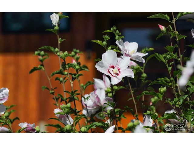 125 Longs Peak Dr, Lyons, CO 80540