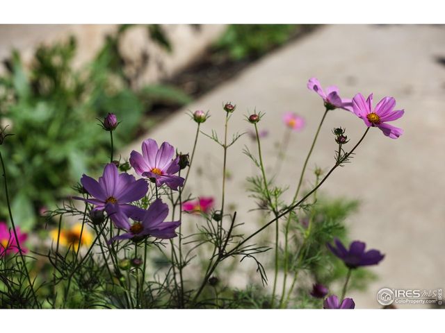 125 Longs Peak Dr, Lyons, CO 80540