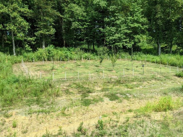 146 Angels Cove Ln, Lebanon, TN 37087
