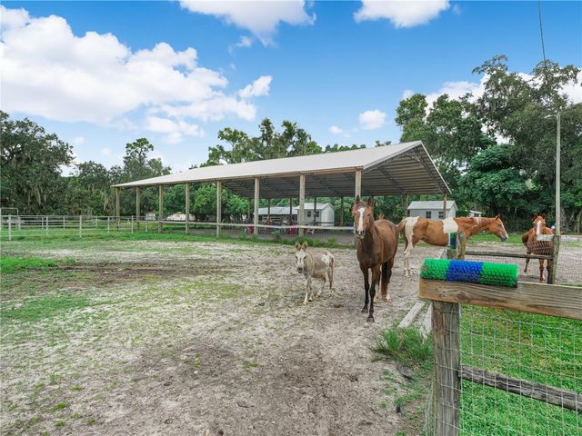 3102 THONOTOSASSA ROAD, Plant City, FL 33565