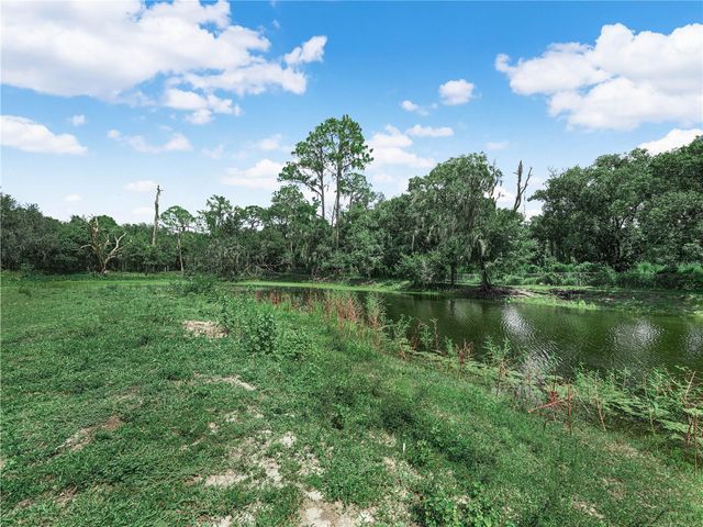 3102 THONOTOSASSA ROAD, Plant City, FL 33565