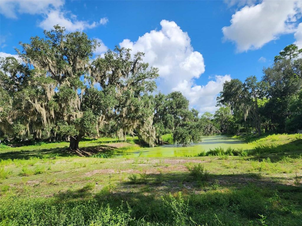 Image 2 of property listing at 3102 THONOTOSASSA ROAD, Plant City, FL 33565