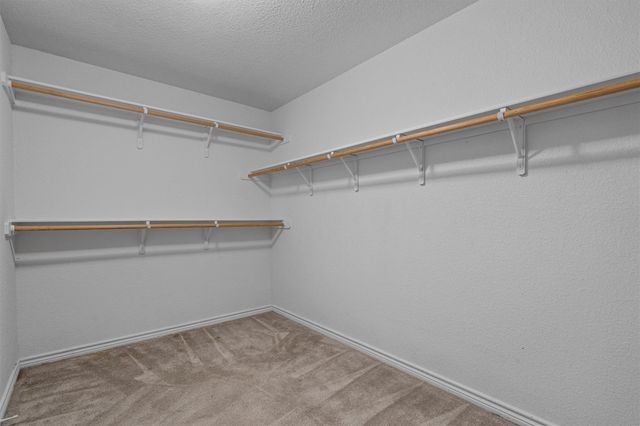 2604 Alamocitos Creek DR, Killeen, TX 76549