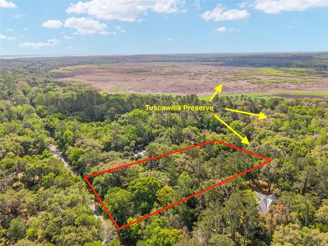 227 SE TUSCAWILLA ROAD, Micanopy, FL 32667