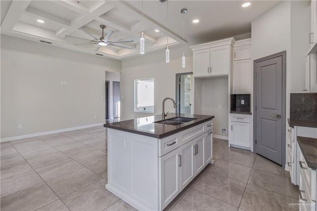 913 Trinity Street, Alamo, TX 78516