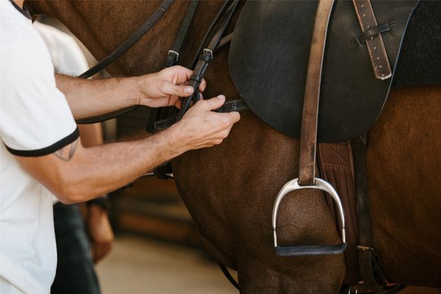 3800 Historic Lane, Cross Roads, TX 76227