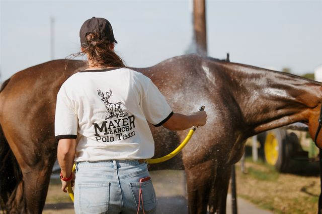 3800 Historic Lane, Cross Roads, TX 76227