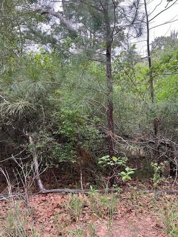 Lot 1603 Ulupau CIR, Bastrop, TX 78602