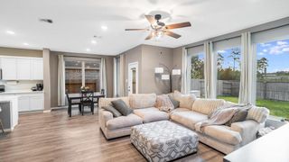22664 Hackberry Leaf Drive, New Caney, TX 77357