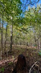 0 Owl Hollow Road Lot 4, Palmer, TN 37365