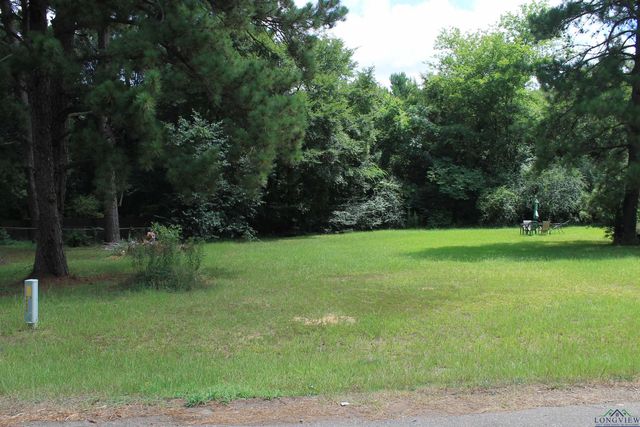 170 Ellis Drive, Waskom, TX 75692