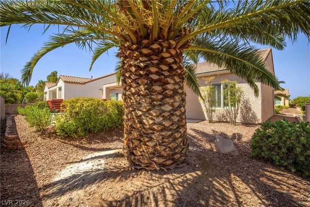 2244 Turner Falls Street, Henderson, NV 89044