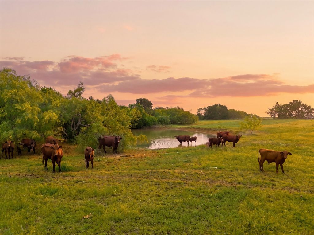 321 Hcr 2122 E, Whitney, TX 76692