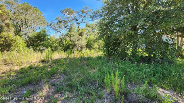 0 Centennial Street, Spring Hill, FL 34609