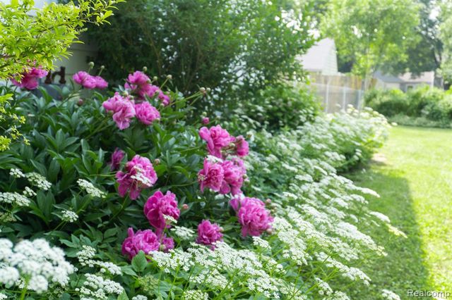 1247 Catalina Drive, Flint, MI 48507