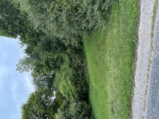 13380 S Rawsonville Road, Augusta, MI 48111