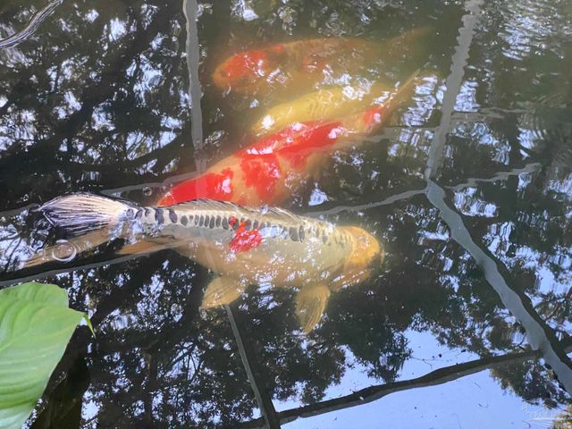 3372 Childers St, Milton, FL 32583