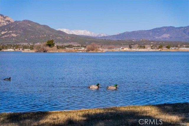 133 Lakeshore Boulevard, Aguanga, CA 92536