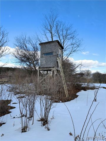 7406 Northwoods Road, Arcade, NY 14009