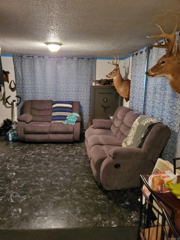 305 Pine Street, Patterson, AR 72123