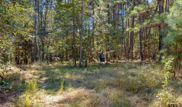 3401 W FM 1910, Jacksonville, TX 75766