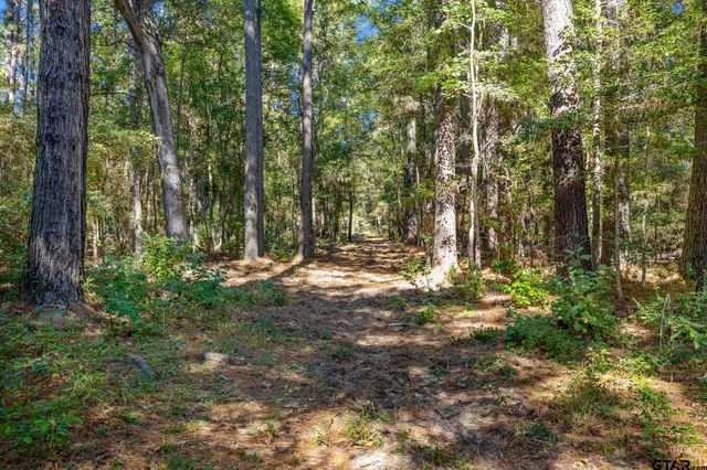 3401 W FM 1910, Jacksonville, TX 75766