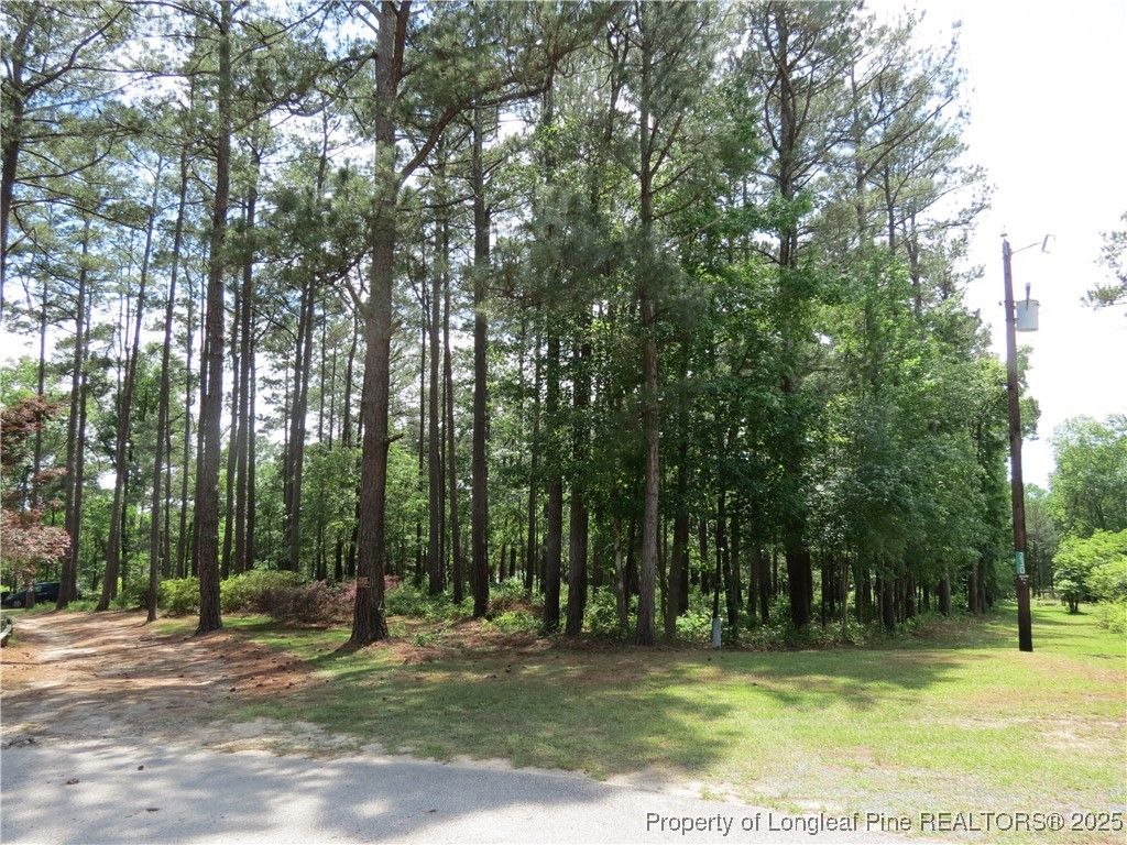 0 Knollwood Lane, Broadway, NC 27505