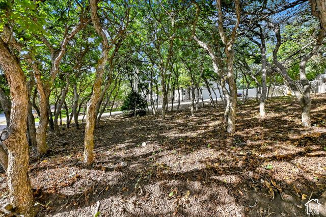 366 S SCENIC DR, Alpine, UT 84004