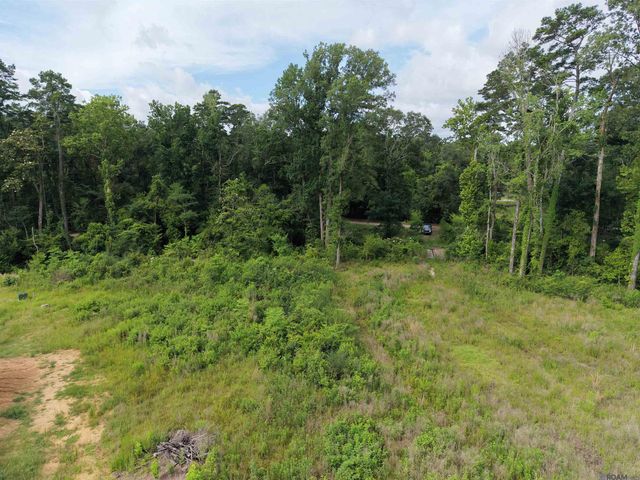 8637 Wildwood Dr, Denham Springs, LA 70706