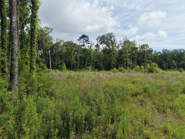 8637 Wildwood Dr, Denham Springs, LA 70706