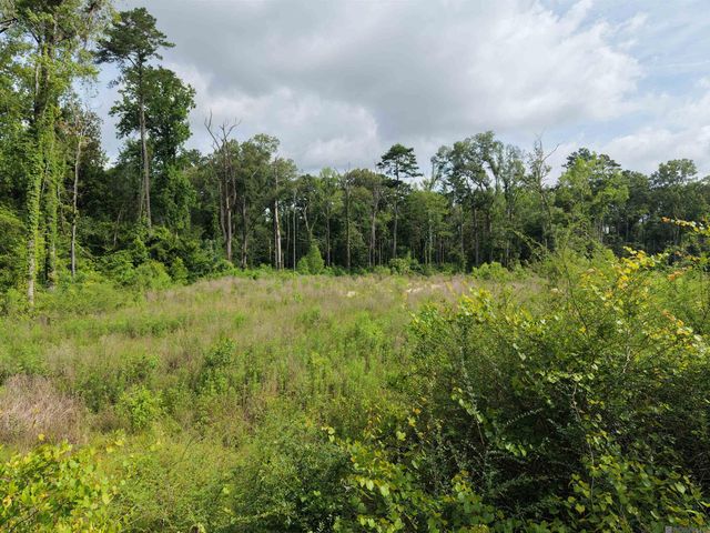 8637 Wildwood Dr, Denham Springs, LA 70706