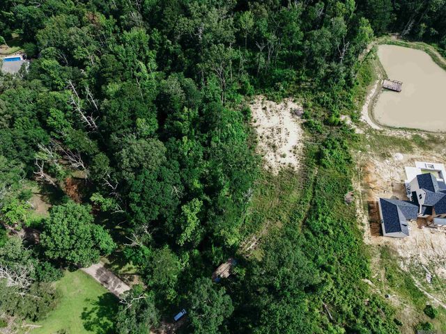 8637 Wildwood Dr, Denham Springs, LA 70706