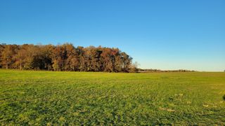 11 Ira Darby Prater Hwy, Woodbury, TN 37190